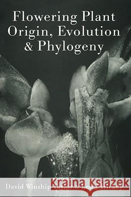 Flowering Plant Origin, Evolution & Phylogeny  9780412053412 KLUWER ACADEMIC PUBLISHERS GROUP - książka