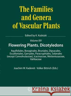 Flowering Plants. Eudicots: Aquifoliales, Boraginales, Bruniales, Dipsacales, Escalloniales, Garryales, Paracryphiales, Solanales (Except Convolvu Kadereit, Joachim W. 9783319285320 Springer - książka