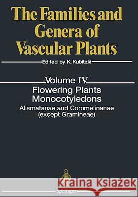 Flowering Plants. Monocotyledons: Lilianae (Except Orchidaceae) Kubitzki, Klaus 9783540640608 Springer - książka