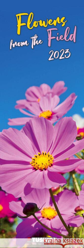 Flowers from the Field 2023  9783959291149 Tushita - książka