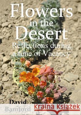 Flowers in the Desert:  Reflections during a time of Vacancy David Bamford 9780244454784 Lulu.com - książka