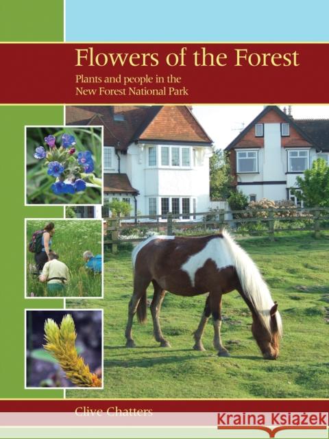 Flowers of the Forest: Plants and People in the New Forest National Park Chatters, Clive 9781903657195  - książka