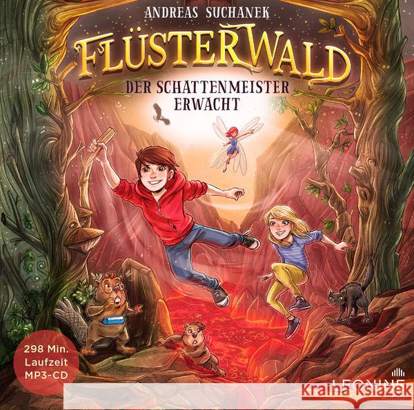 Flüsterwald - Der Schattenmeister erwacht. Tl.4, 1 Audio-CD  4061229287227 LEONINE Distribution - książka