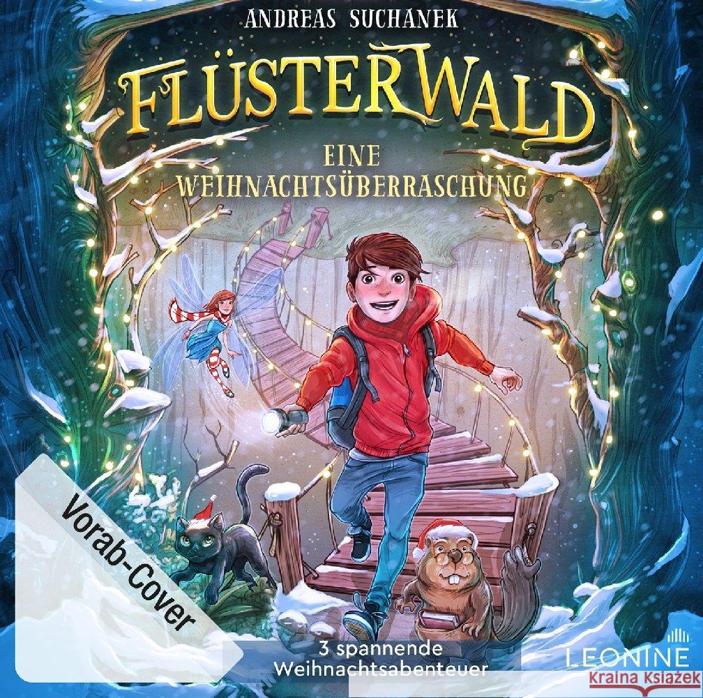 Flüsterwald Weihnachtsgeschichten 1, 2 & 3, 1 Audio-CD  4061229341820 LEONINE Distribution - książka