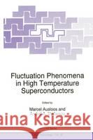 Fluctuation Phenomena in High Temperature Superconductors Marcel Ausloos M. Ausloos Andrei A. Varlamov 9780792345756 Kluwer Academic Publishers - książka