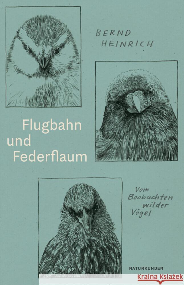 Flugbahn und Federflaum Heinrich, Bernd 9783751802161 Matthes & Seitz Berlin - książka