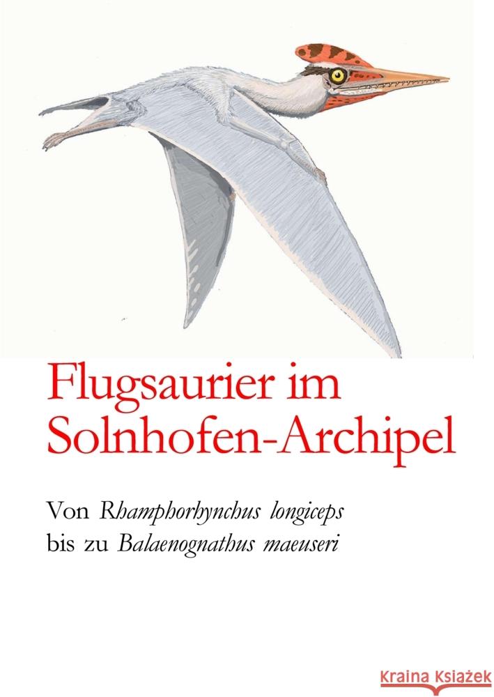 Flugsaurier im Solnhofen-Archipel Probst, Ernst 9783384498809 tredition - książka