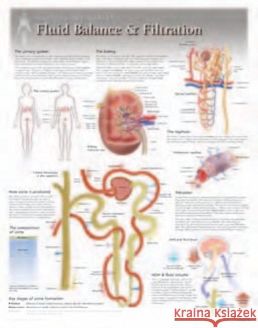 Fluid Balance & Filtration Laminated Poster Scientific Publishing 9781935612124 Scientific Publishing Limited - książka
