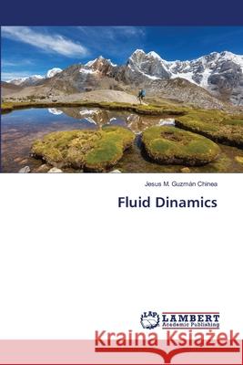 Fluid Dinamics Guzm 9786203201611 LAP Lambert Academic Publishing - książka