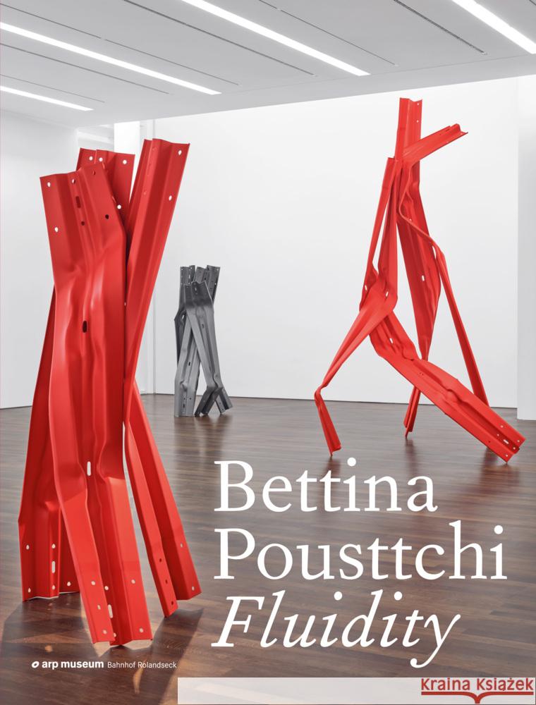 Fluidity Arp Museum Bahnhof Rolandseck, Pousttchi, Bettina, Stubenvoll, Daniel 9783954765010 Distanz Verlag - książka