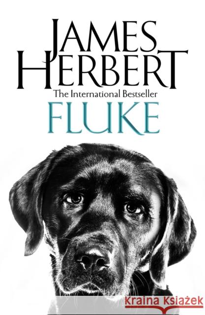 Fluke James Herbert 9781509865475 Pan Macmillan - książka