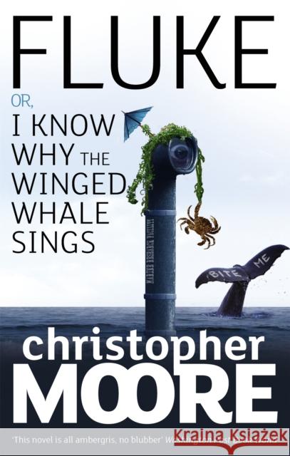 Fluke: Or, I Know Why the Winged Whale Sings Christopher Moore 9781841496177 Little, Brown Book Group - książka