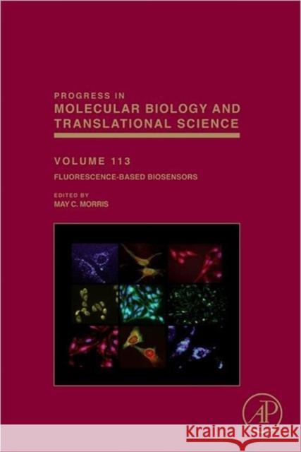 Fluorescence-Based Biosensors: From Concepts to Applications Volume 113 Morris, May C. 9780123869326  - książka
