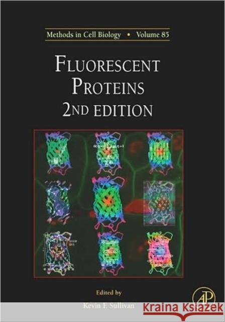 Fluorescent Proteins: Volume 85 Sullivan, Kevin F. 9780123725585 Academic Press - książka