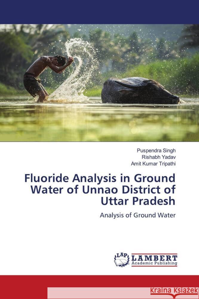 Fluoride Analysis in Ground Water of Unnao District of Uttar Pradesh Singh, Puspendra, Yadav, Rishabh, Tripathi, Amit Kumar 9786206845522 LAP Lambert Academic Publishing - książka