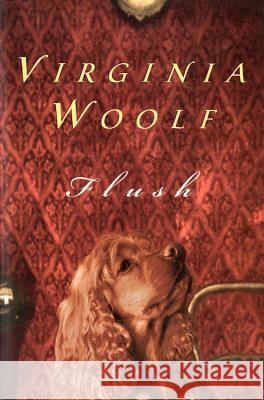 Flush Virginia Woolf 9780156319522 Harcourt - książka