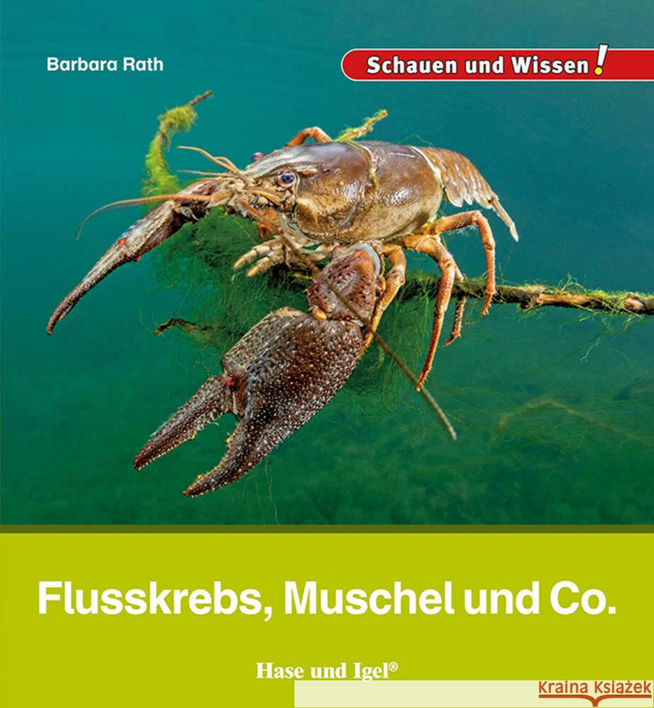 Flusskrebs, Muschel und Co. Rath, Barbara 9783863164669 Hase und Igel - książka