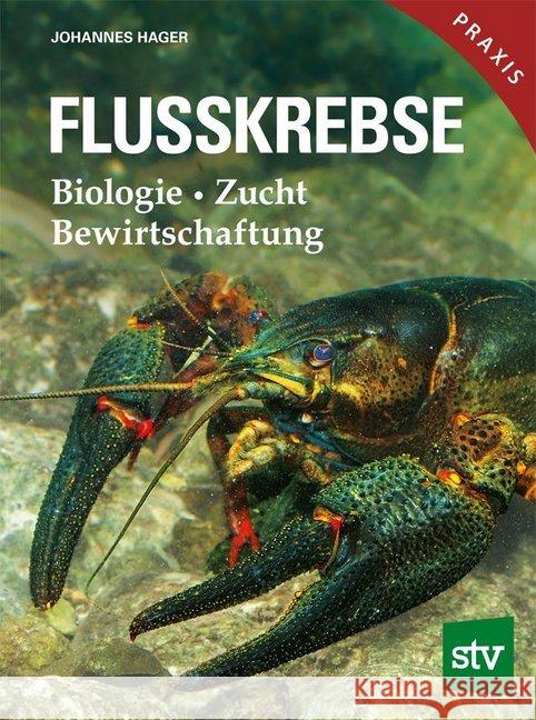 Flusskrebse : Biologie, Zucht, Bewirtschaftung Hager, Johannes 9783702016975 Stocker - książka