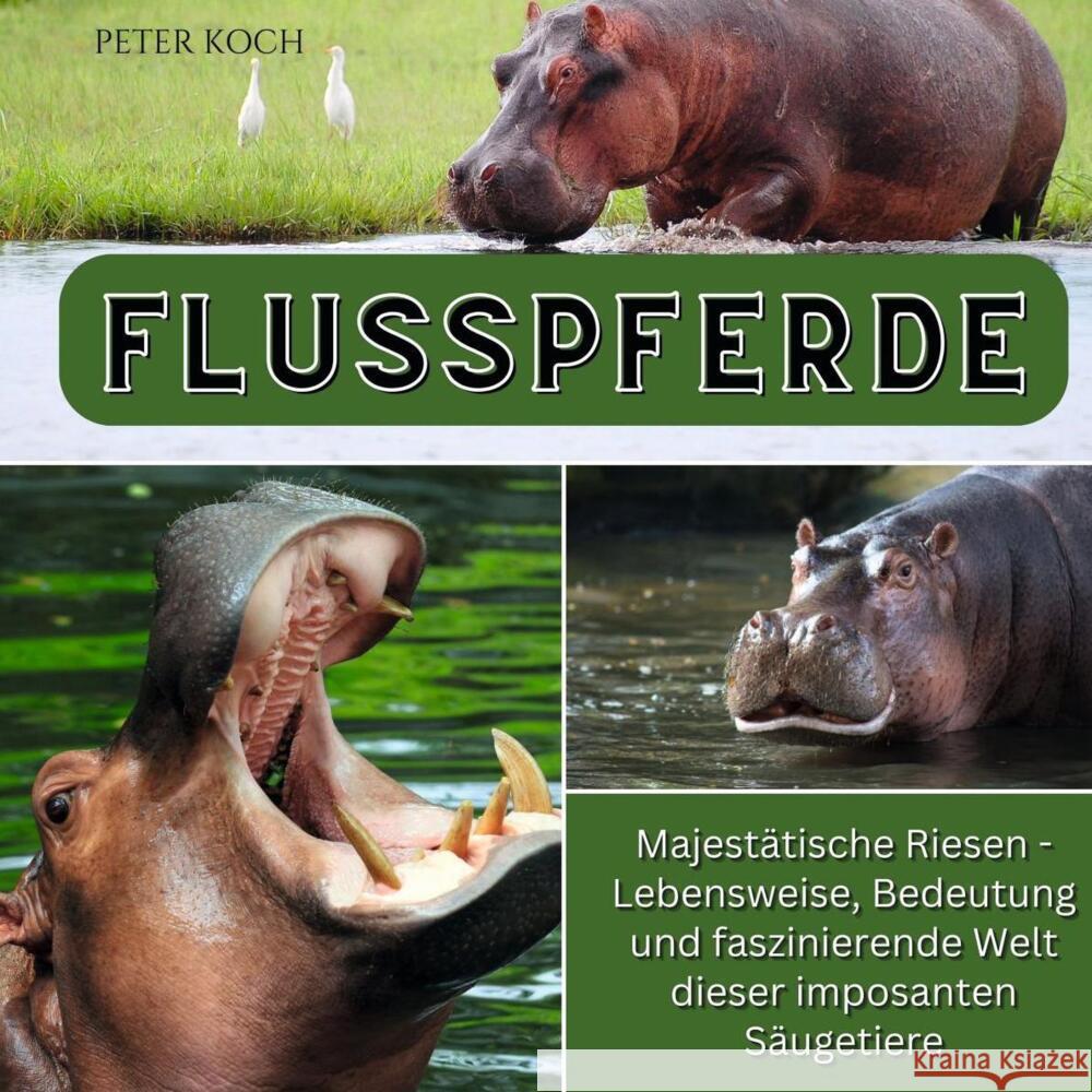 Flusspferde Koch, Peter 9783750563049 27amigos - książka