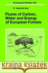 Fluxes of Carbon, Water and Energy of European Forests Riccardo Valentini 9783642078484 Not Avail - książka