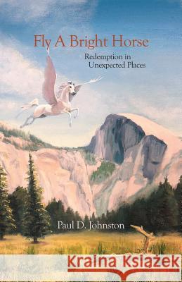 Fly a Bright Horse: Redemption in Unexpected Places Paul D Johnston 9781631320644 Advanced Publishing LLC - książka