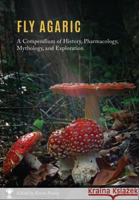 Fly Agaric: A Compendium of History, Pharmacology, Mythology, & Exploration Kevin M. Feeney 9780578714424 Fly Agaric Press - książka
