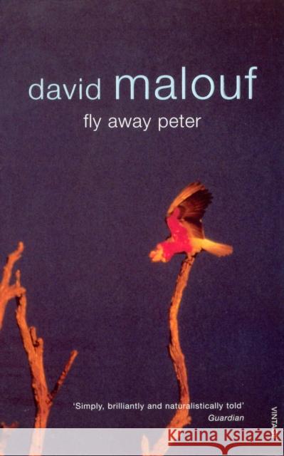Fly Away Peter David Malouf 9780099273820 Vintage Publishing - książka