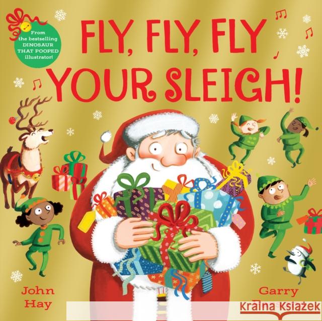 Fly, Fly, Fly Your Sleigh: A Christmas Caper! John Hay 9781529063165 Pan Macmillan - książka