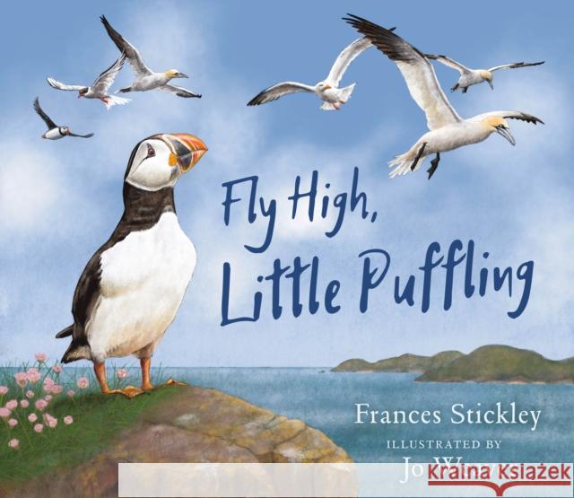 Fly High, Little Puffling Frances Stickley 9781780279060 BC Books - książka