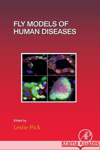 Fly Models of Human Diseases: Volume 121 Pick, Leslie 9780128029046 Academic Press - książka
