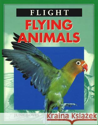Flying Animals (Flight) Chelsea House Publications               June Loves 9780791065617 Chelsea House Publications - książka