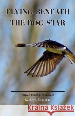 Flying Beneath the Dog Star: Poems from a Pandemic Kathryn Winograd 9781646627349 Finishing Line Press - książka