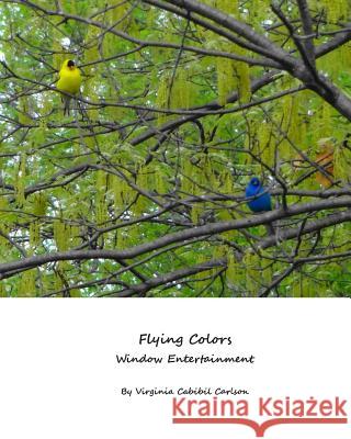 Flying Colors: Window Entertainment Virginia Cabibil Carlson 9781508726289 Createspace - książka