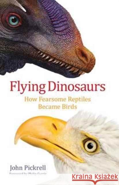 Flying Dinosaurs: How Fearsome Reptiles Became Birds John Pickrell 9780231171786 Columbia University Press - książka