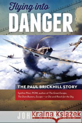 Flying into Danger John Ramsland 9781925367683 Brolga Publishing Pty Ltd - książka