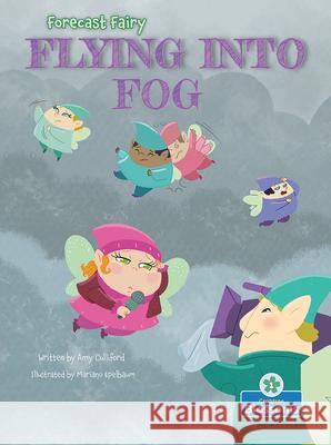 Flying Into Fog Amy Culliford Mariano Epelbaum 9781039800922 Crabtree Publishing Co,Canada - książka