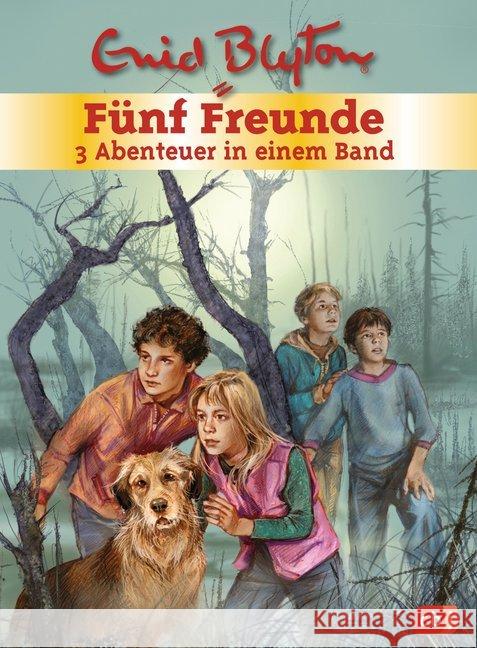 Fünf Freunde - 3 Abenteuer in einem BandF, ünf Freunde und das Teufelsmoor; Fünf Freunde und der Hexenring; Fünf Freunde im Gruselschloss Blyton, Enid 9783570157886 cbj - książka