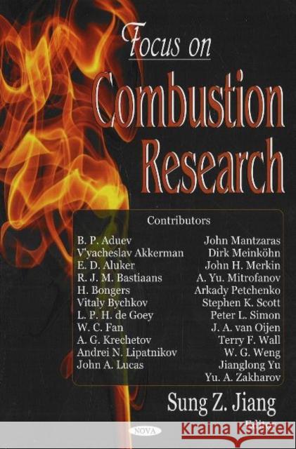 Focus on Combustion Research Sung Z Jiang 9781594548239 Nova Science Publishers Inc - książka