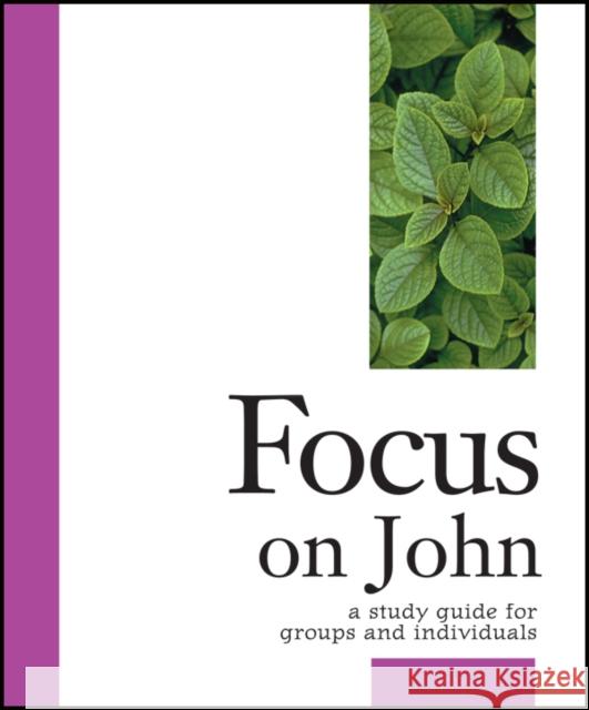 Focus on John: A Study Guide for Groups and Individuals Mulhern, Kathleen 9781889108667 Living the Good News - książka