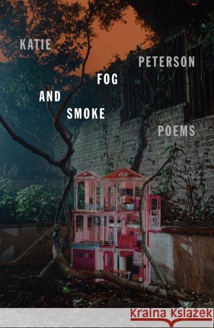 Fog and Smoke: Poems Katie Peterson 9780374610890 Farrar, Straus and Giroux - książka