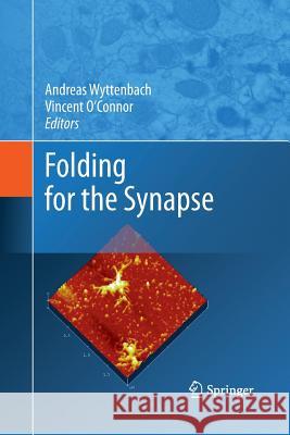 Folding for the Synapse Andreas Wyttenbach Vincent O'Connor  9781489982223 Springer - książka