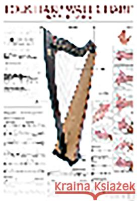 Folk Harp Wall Chart Laurie Star Edwards 9780786685936  - książka