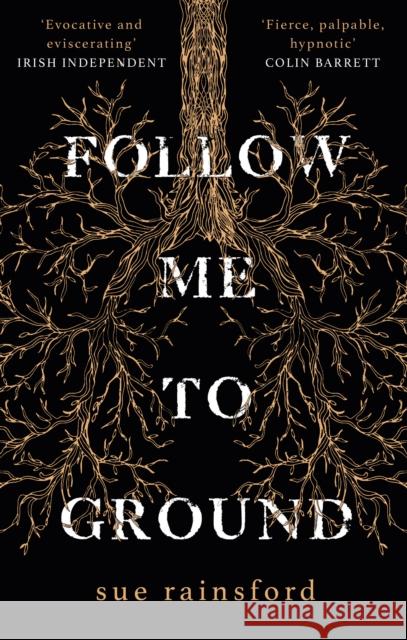 Follow Me To Ground Rainsford, Sue 9781784164942 Transworld Publishers Ltd - książka