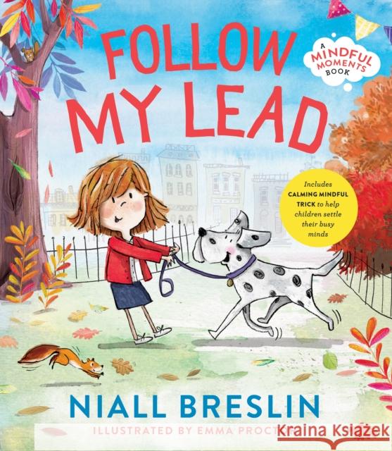 Follow My Lead Niall Breslin 9780717199112 Gill - książka