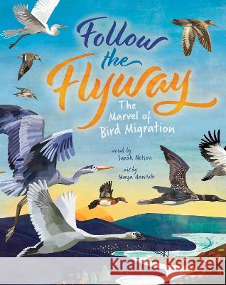 Follow the Flyway: The Marvel of Bird Migration Sarah Nelson Maya Hanisch 9781646866328 Barefoot Books - książka