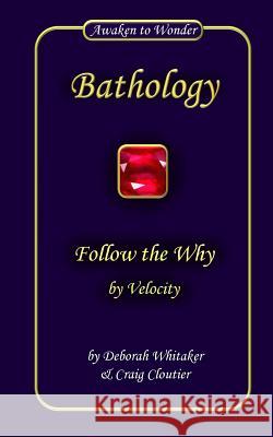 Follow the Why: by Velocity Cloutier, Craig 9781477614037 Createspace - książka