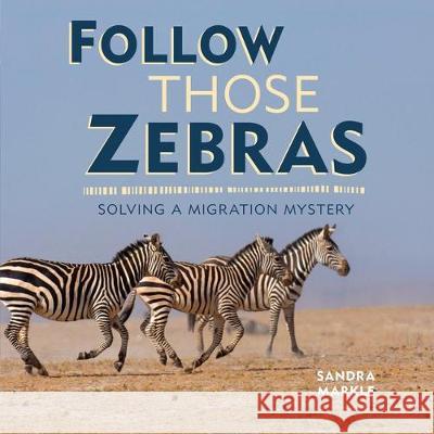 Follow Those Zebras: Solving a Migration Mystery Sandra Markle 9781541538375 Millbrook Press (Tm) - książka