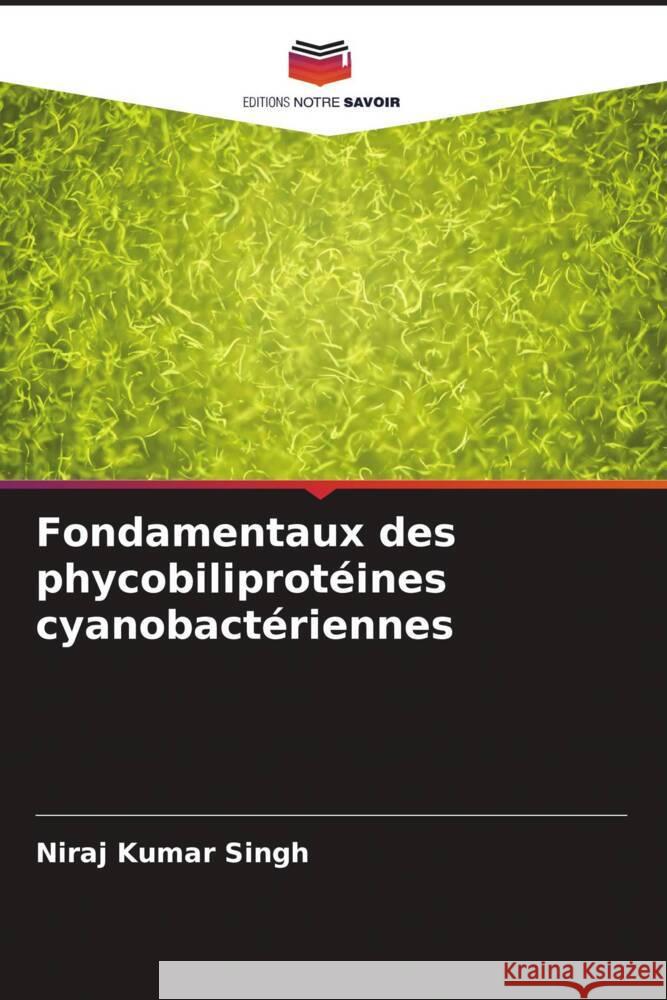 Fondamentaux des phycobiliprot?ines cyanobact?riennes Niraj Kumar Singh 9786206667667 Editions Notre Savoir - książka