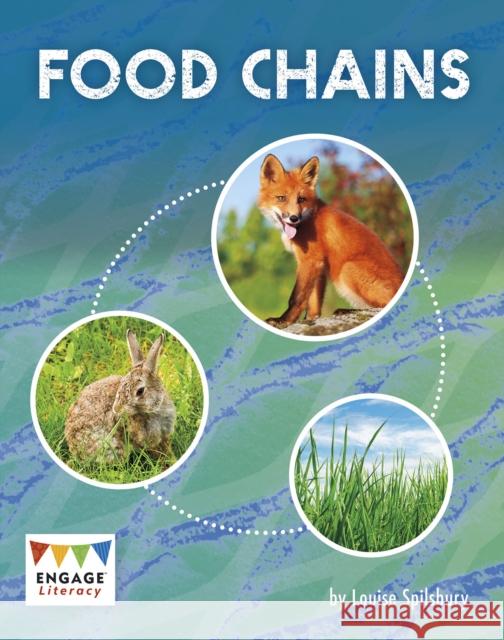 Food Chains Spilsbury, Louise 9781398202016 Capstone Global Library Ltd - książka