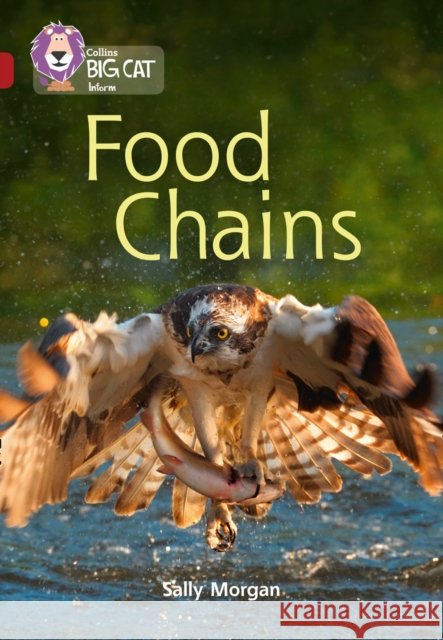 Food Chains: Band 14/Ruby Sally Morgan 9780008163891 HarperCollins Publishers - książka